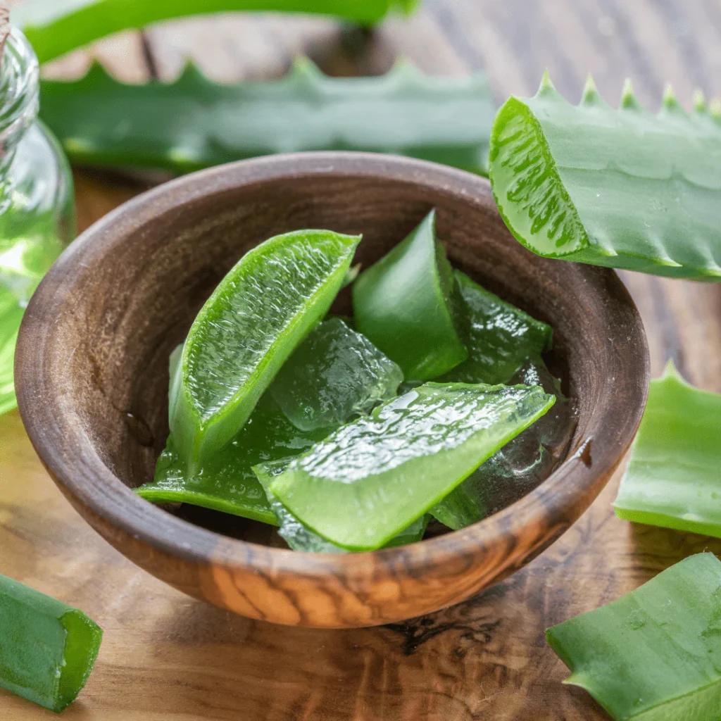chopped-aloe-vera-bowl-min_029ea407-dd74-47c7-8a95-06fc446d1c05